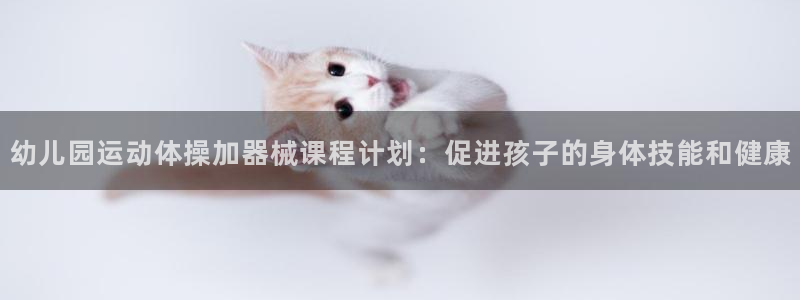 尊龙公司：幼儿园运动体操加器械课程计划：促进孩子的身