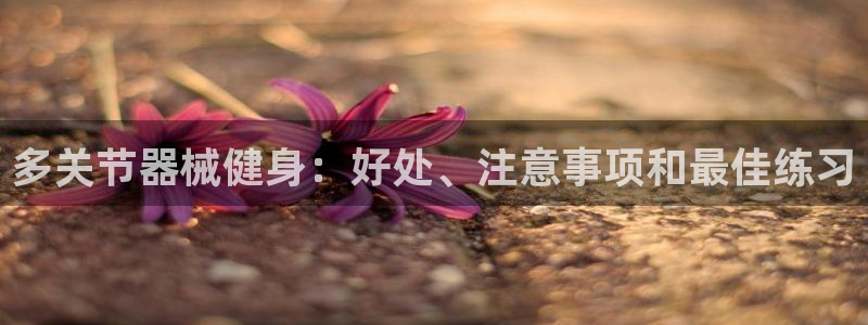 尊龙凯时不给提现怎么办：多关节器械健身：好处、注意事