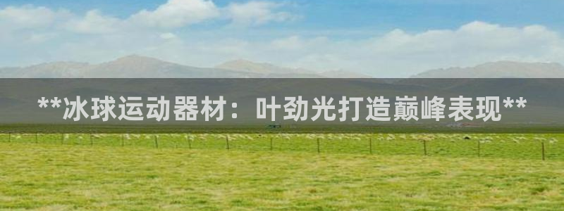尊龙人生就是博旧版网址：**冰球运动器材：叶劲光打造