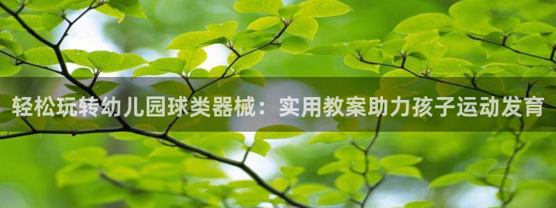 尊龙凯时人生就是博·(中国)官网官：轻松玩转幼儿园球