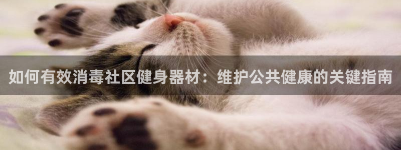 尊龙人生就是博下载：如何有效消毒社区健身器材：维护公