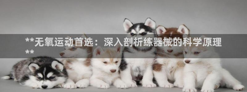 尊龙人生就是博l：**无氧运动首选：深入剖析练器械的