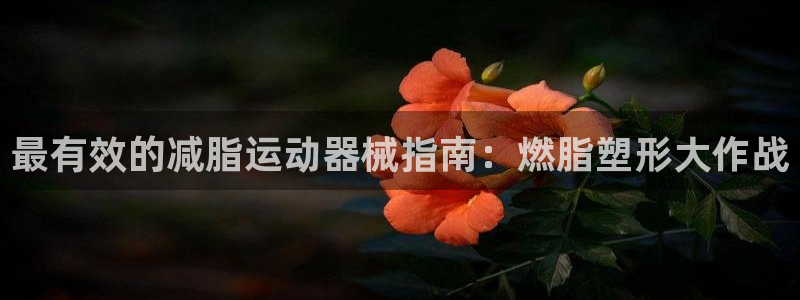 ag尊龙凯时俱乐部：最有效的减脂运动器械指南：燃脂塑