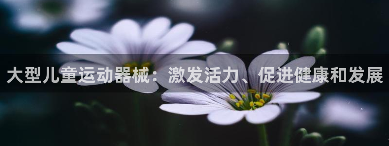 尊龙凯时代理官网入口：大型儿童运动器械：激发活力、促