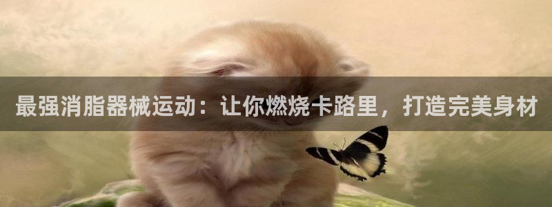 尊龙集团有限公司：最强消脂器械运动：让你燃烧卡路里，