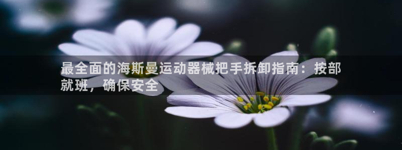 尊龙凯时网娱乐最新版下载：最全面的海斯曼运动器械把手