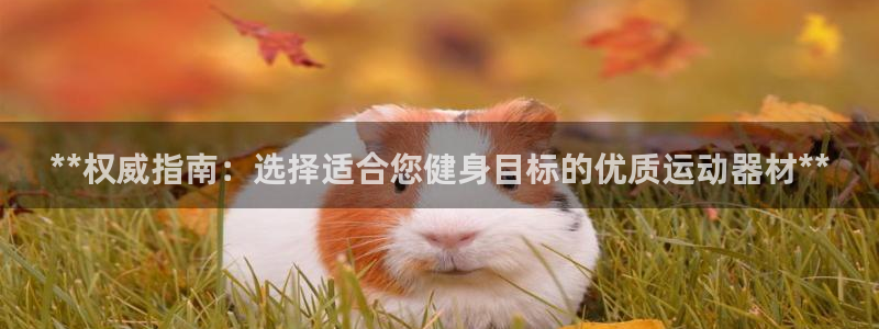 尊龙凯时z6官网：**权威指南：选择适合您健身目标的