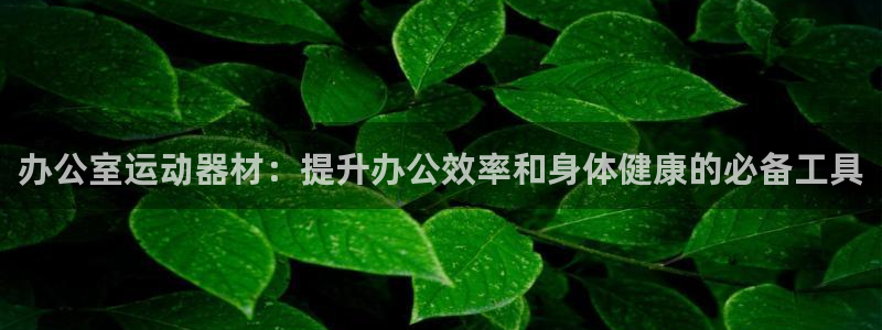尊龙 国外：办公室运动器材：提升办公效率和身体健康的