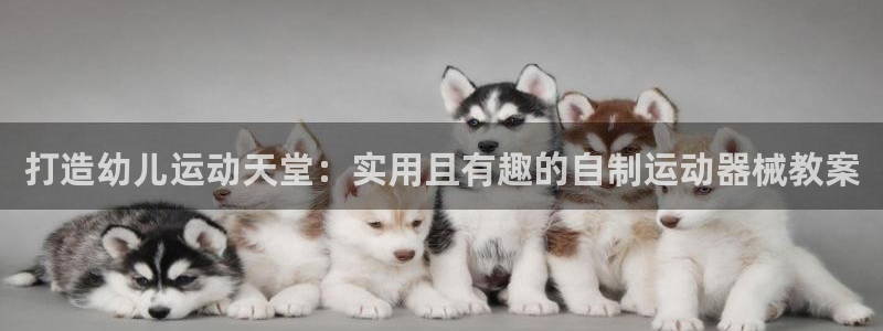 尊龙官网免费下载安卓：打造幼儿运动天堂：实用且有趣的