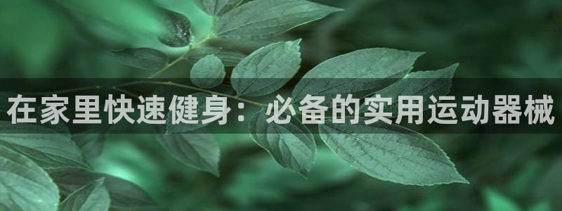尊龙网站注册站注册：在家里快速健身：必备的实用运动器