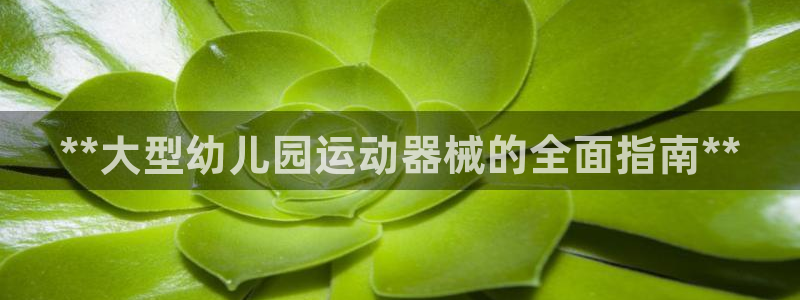 尊龙旗舰店：**大型幼儿园运动器械的全面指南**