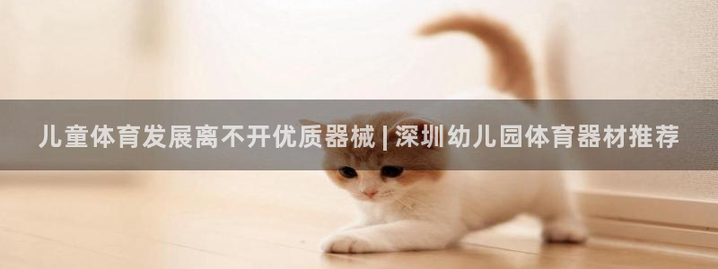 尊龙官方：儿童体育发展离不开优质器械 | 深圳幼儿园