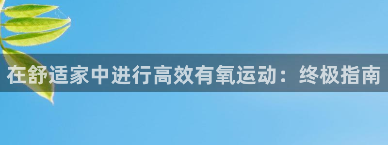 尊龙凯时官网：在舒适家中进行高效有氧运动：终极指南