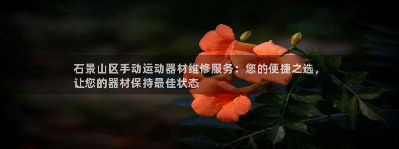 尊龙 下载：石景山区手动运动器材维修服务：您的便捷之