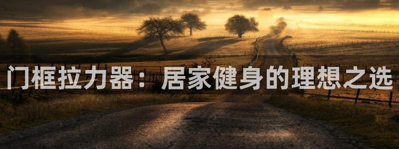尊龙凯时是不是合法：门框拉力器：居家健身的理想之选