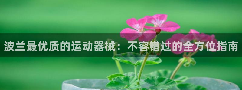 尊龙凯时-人生就是博中国官网：波兰最优质的运动器械：