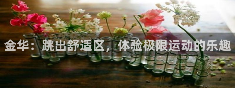 尊龙网站登录