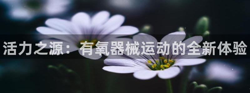尊龙凯时人生就是博官网登录