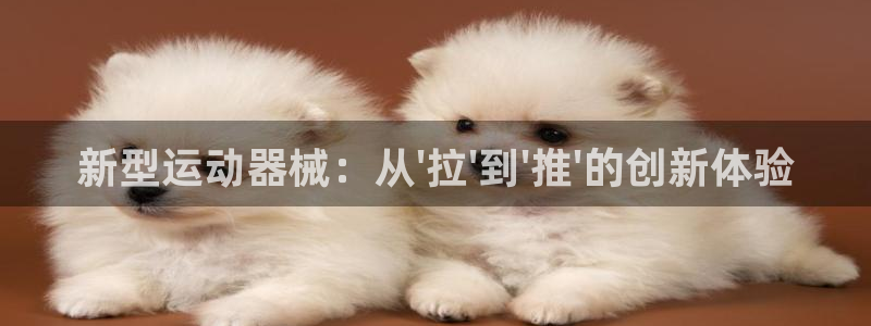 尊龙登录首页