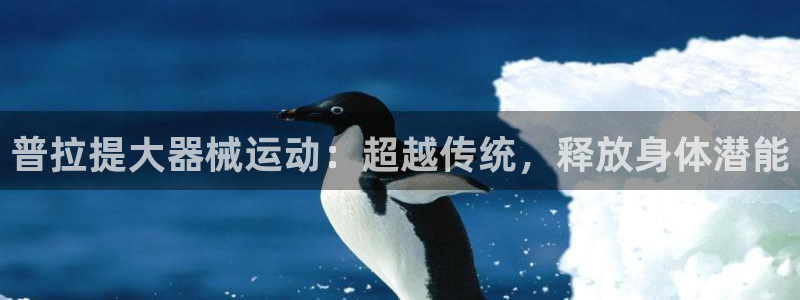 尊龙凯时下载官方正版