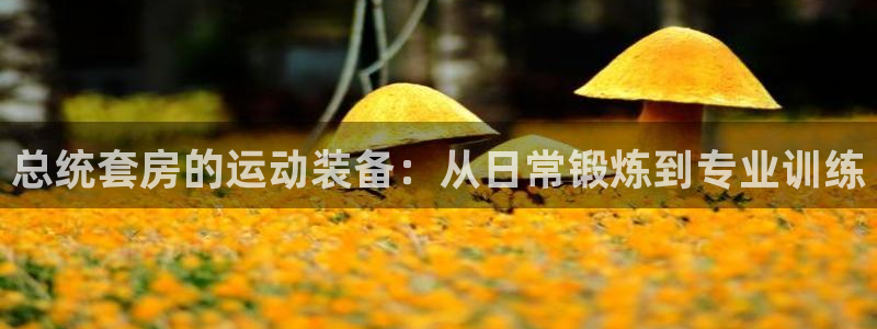 尊龙凯时代理官网入口