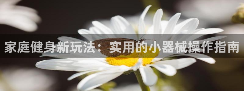 ag尊龙怎么样