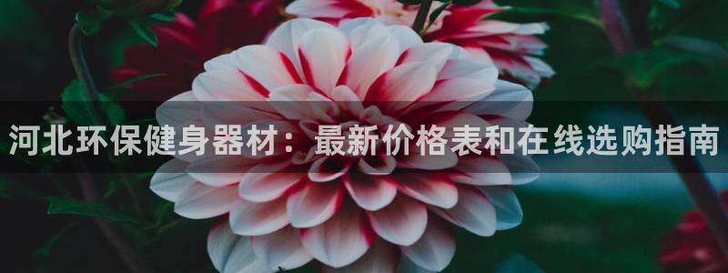 尊龙人生就是博菲律宾台子：河北环保健身器材：最新价格表和在线