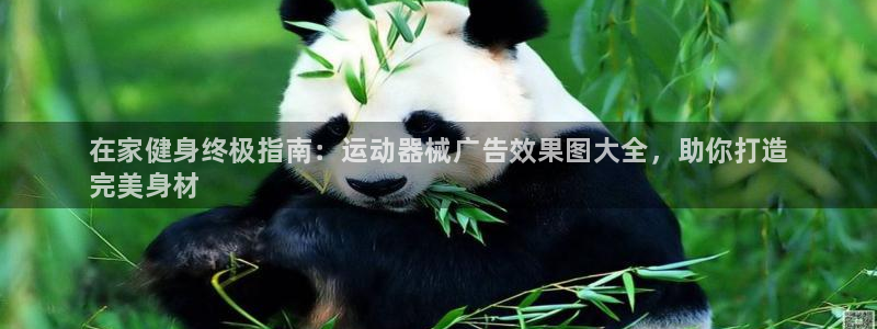 凯时APP官网首页：在家健身终极指南：运动器械广告效果图大全