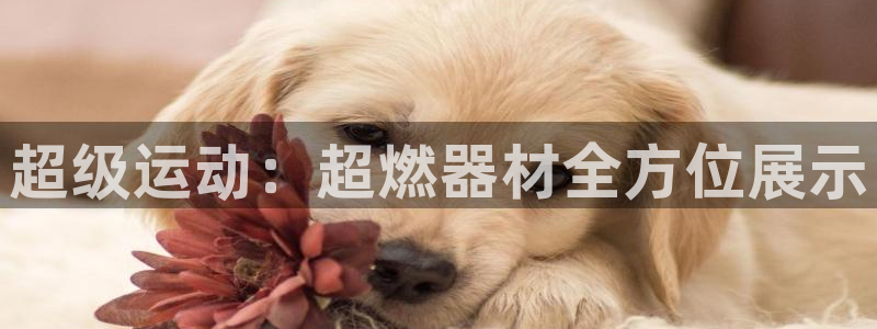 尊龙凯时网站不让提款