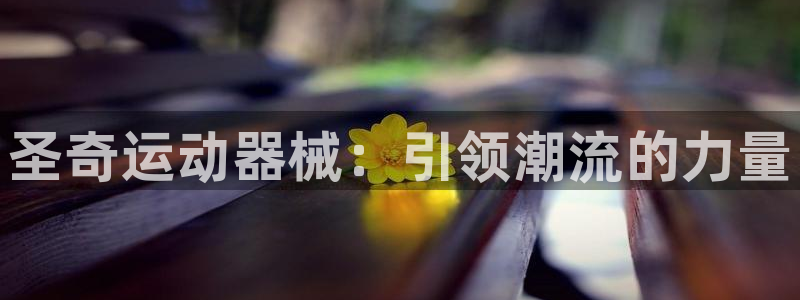 尊龙1003尊龙 - 百度：圣奇运动器械：引领潮流的