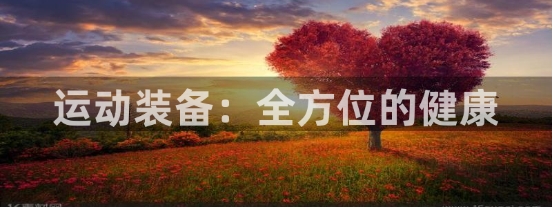 尊龙目前照片：运动装备：全方位的健康