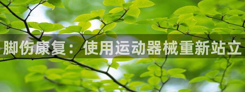 尊龙注册码：脚伤康复：使用运动器械重新站立